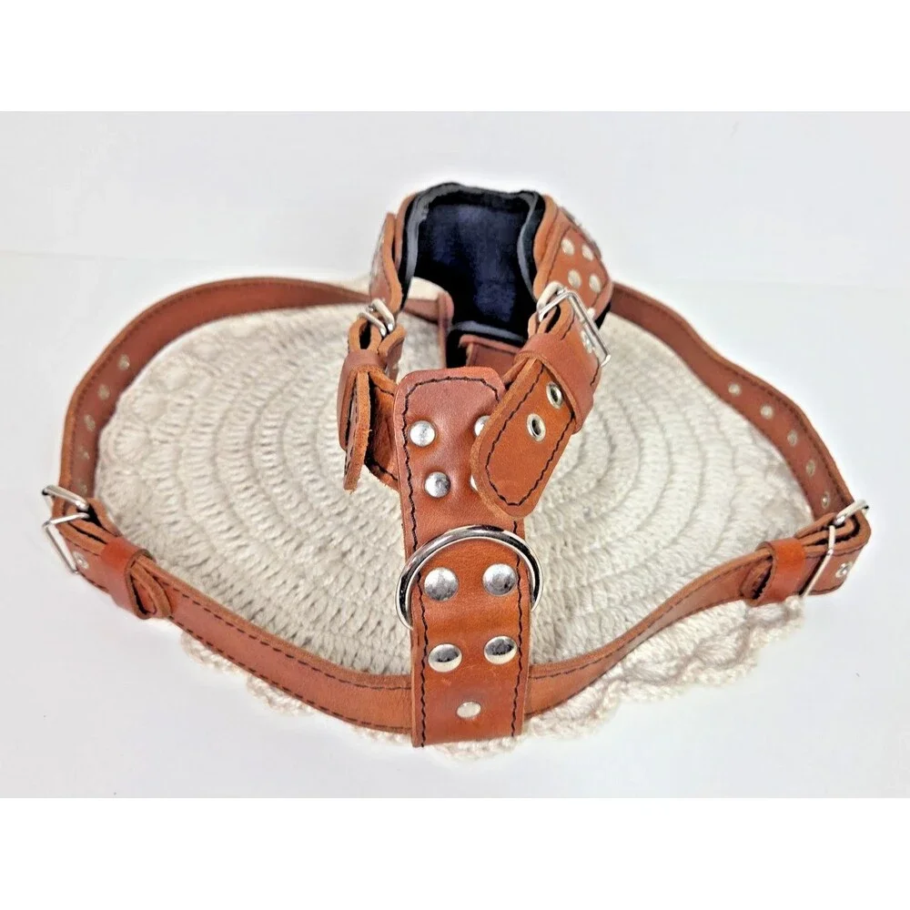 BESTIA The ''Maximus'' Dog Collar Harness Genuine Leather Brown Silver S-M EUC *